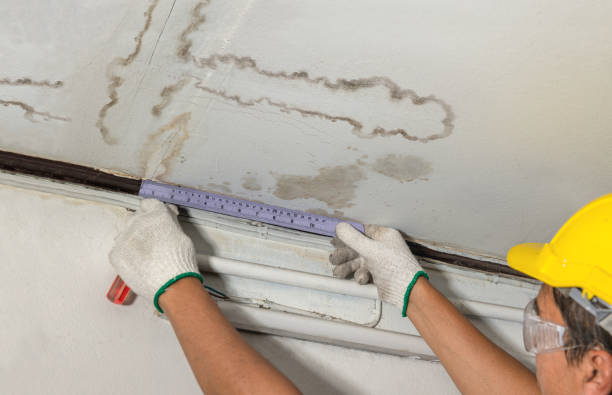 Reliable Mold Remediation contractor in Barrington, NH by Water Damage Irwin
